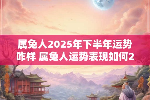 属兔人2025年下半年运势咋样 属兔人运势表现如何2025