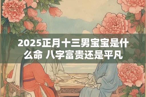 2025正月十三男宝宝是什么命 八字富贵还是平凡