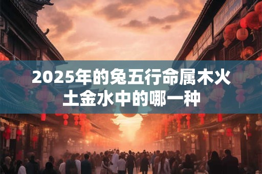 2025年的兔五行命属木火土金水中的哪一种