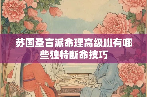 苏国圣盲派命理高级班有哪些独特断命技巧