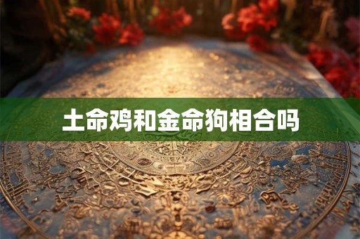 土命鸡和金命狗相合吗