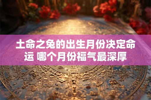 土命之兔的出生月份决定命运 哪个月份福气最深厚