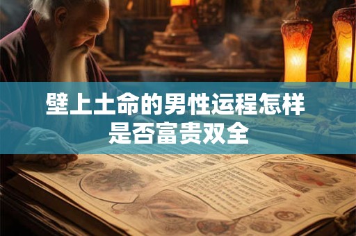 壁上土命的男性运程怎样 是否富贵双全