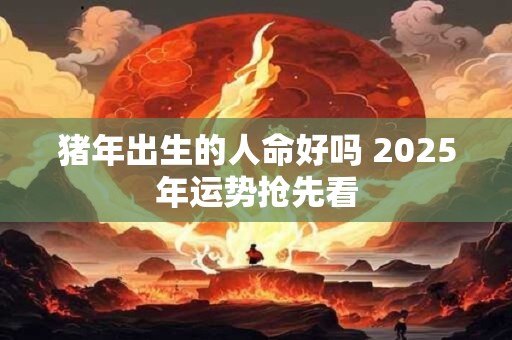 猪年出生的人命好吗 2025年运势抢先看