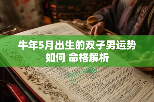 牛年5月出生的双子男运势如何 命格解析