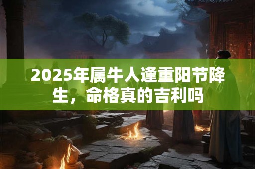 2026年属牛人逢重阳节降生，命格真的吉利吗