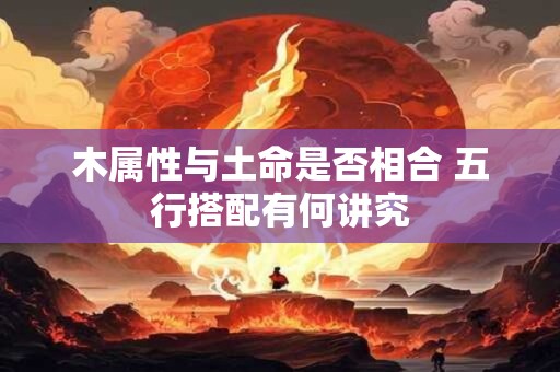 木属性与土命是否相合 五行搭配有何讲究