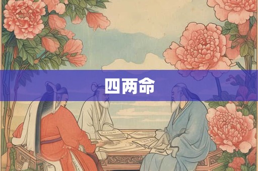 四两命