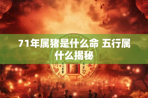 71年属猪是什么命 五行属什么揭秘