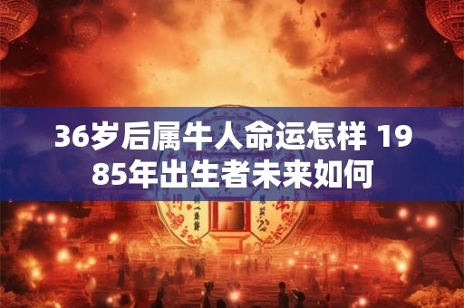36岁后属牛人命运怎样 1985年出生者未来如何