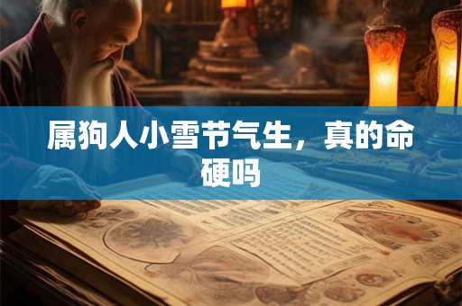 属狗人小雪节气生，真的命硬吗