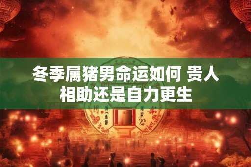 冬季属猪男命运如何 贵人相助还是自力更生