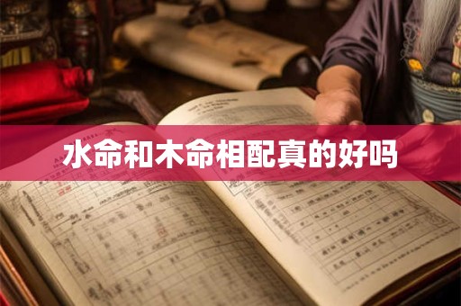 水命和木命相配真的好吗