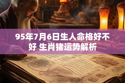 95年7月6日生人命格好不好 生肖猪运势解析