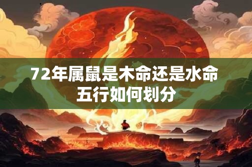 72年属鼠是木命还是水命 五行如何划分