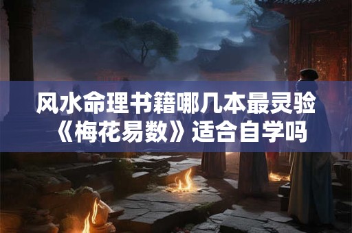 风水命理书籍哪几本最灵验 《梅花易数》适合自学吗