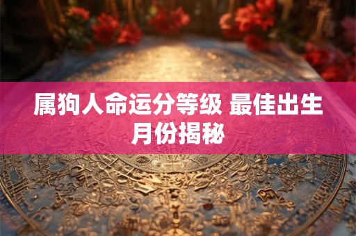 属狗人命运分等级 最佳出生月份揭秘