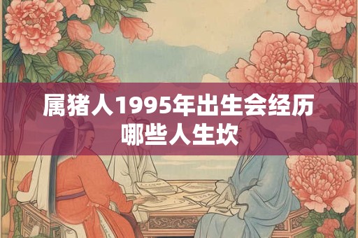 属猪人1995年出生会经历哪些人生坎
