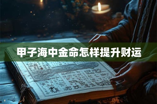 甲子海中金命怎样提升财运
