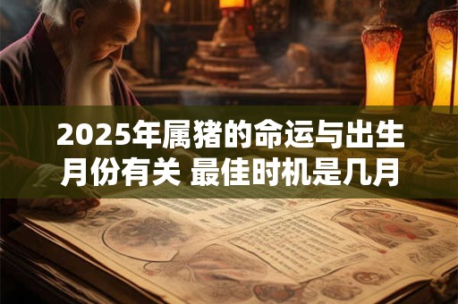 2025年属猪的命运与出生月份有关 最佳时机是几月
