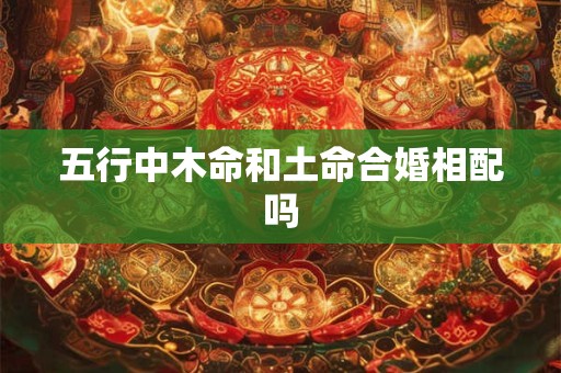 五行中木命和土命合婚相配吗