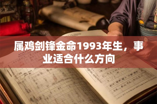 属鸡剑锋金命1993年生，事业适合什么方向
