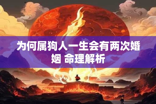 为何属狗人一生会有两次婚姻 命理解析