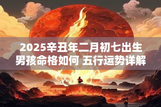 2025辛丑年二月初七出生男孩命格如何 五行运势详解