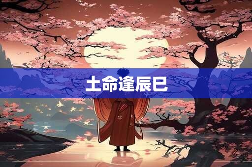 土命逢辰巳