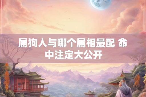 属狗人与哪个属相最配 命中注定大公开