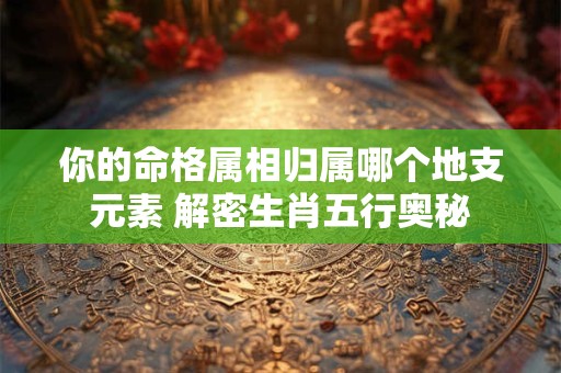 你的命格属相归属哪个地支元素 解密生肖五行奥秘