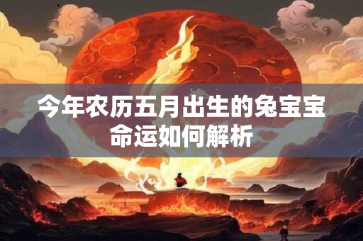 今年农历五月出生的兔宝宝命运如何解析