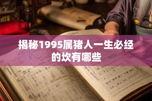 揭秘1995属猪人一生必经的坎有哪些