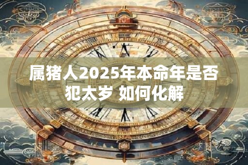 属猪人2025年本命年是否犯太岁 如何化解