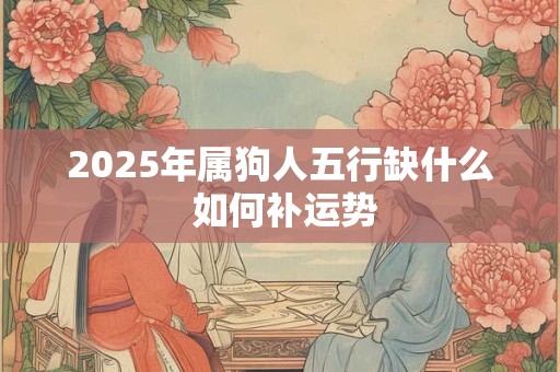 2025年属狗人五行缺什么 如何补运势
