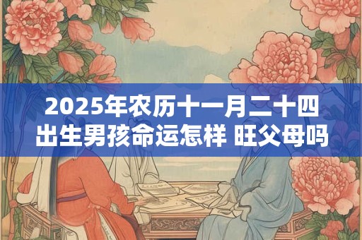 2025年农历十一月二十四出生男孩命运怎样 旺父母吗