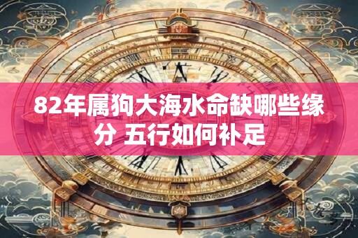 82年属狗大海水命缺哪些缘分 五行如何补足