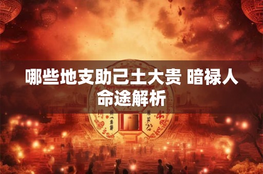 哪些地支助己土大贵 暗禄人命途解析