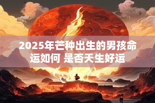 2025年芒种出生的男孩命运如何 是否天生好运