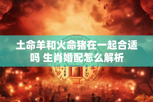 土命羊和火命猪在一起合适吗 生肖婚配怎么解析