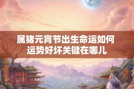 属猪元宵节出生命运如何 运势好坏关键在哪儿