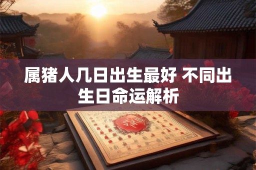 属猪人几日出生最好 不同出生日命运解析 属猪人几日出生最好 不同出生日命运解析
