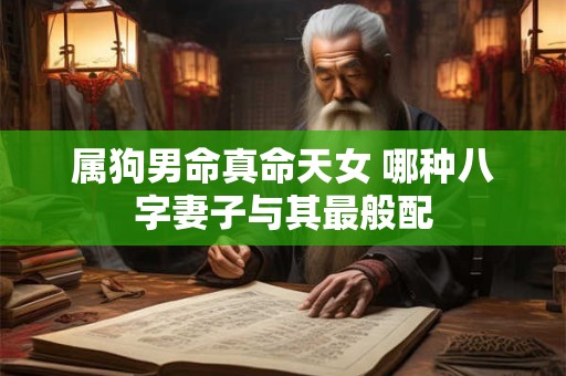 属狗男命真命天女 哪种八字妻子与其最般配