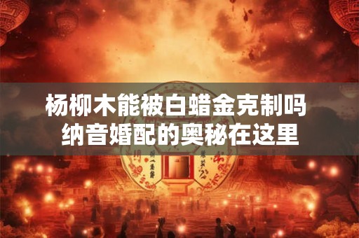 杨柳木能被白蜡金克制吗 纳音婚配的奥秘在这里