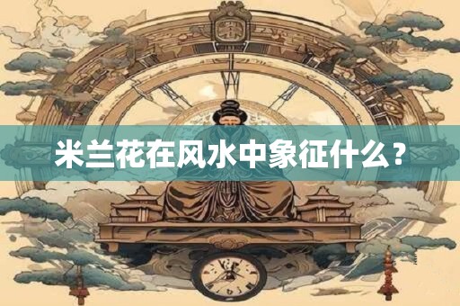 米兰花在风水中象征什么？