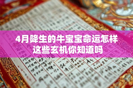 4月降生的牛宝宝命运怎样 这些玄机你知道吗