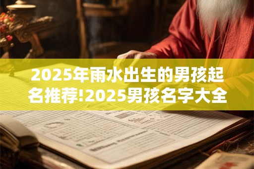 2025年雨水出生的男孩起名推荐!2025男孩名字大全