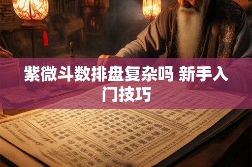 紫微斗数排盘复杂吗 新手入门技巧
