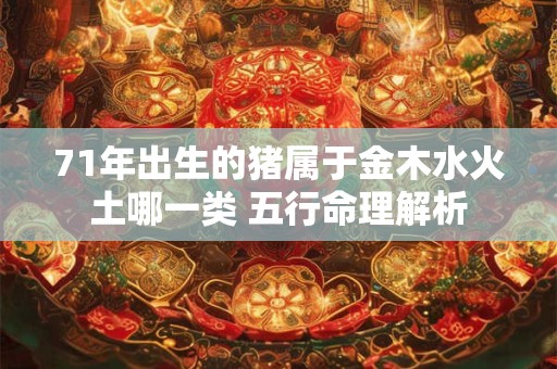 71年出生的猪属于金木水火土哪一类 五行命理解析 71年出生的猪属于金木水火土哪一类 五行命理解析