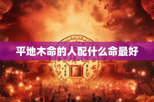 平地木命的人配什么命最好